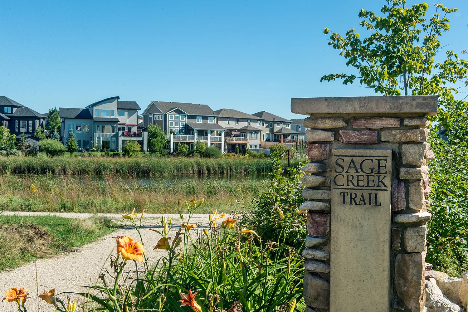 Sage Creek - Native Plant Solutions. Source: https://www.nativeplantsolutions.ca/our-work/sage-creek/